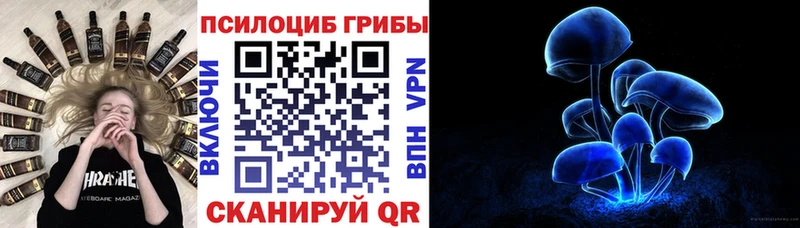Купить закладки  Дальнегорск  Псилоцибиновые грибы Psilocybe 