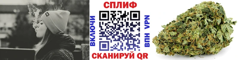 Каннабис VHQ  Купить закладки  Дальнегорск 