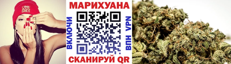 Конопля сатива Дальнегорск